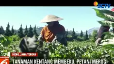Di dataran tinggi Dieng, Jawa Tengah cuaca dingin memicu terbentuknya embun es atau embun upas, yang merusak tanaman petani.