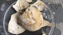 Kerangka telur yang ditemukan di dalam kura-kura yang berasal dari sekitar 2000 tahun yang lalu dan ditemukan di area Terme Stabiane di Taman Arkeologi Pompeii dekat Napoli, Italia selatan, terlihat dalam foto tak bertanggal yang disediakan pada Jumat, 24 Juni 2022. (Pompeii Archaeological Park via AP)