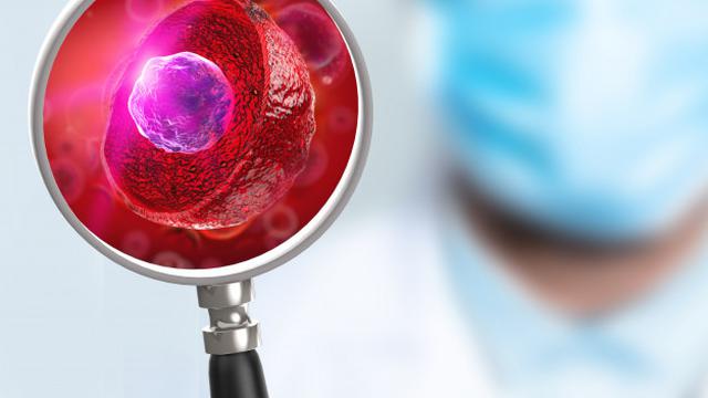 Ilustrasi membran sel