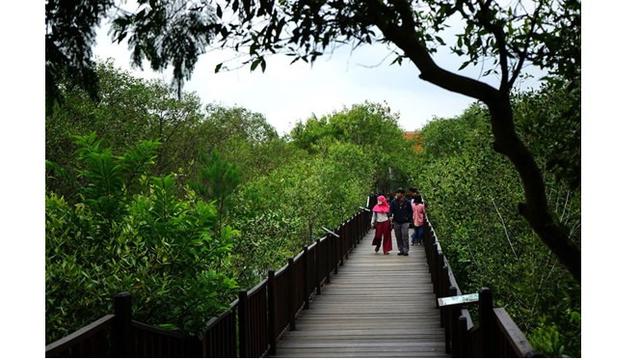 Hutan Mangrove Gunung Anyar