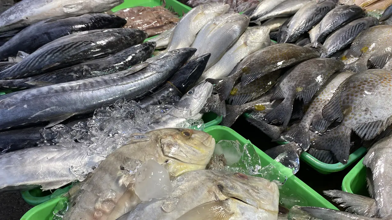 Salah Satu Kios Ikan Laut di Pasar Kramat Jati
