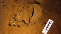 Mata kail saat ditemukan dekat dengan tengkorak perempuan dari zaman Pleistosen (dok. anu.edu.au/Sue O'Connor/screen capture)