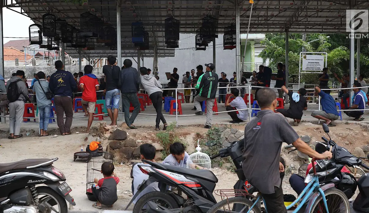 Suasana lomba kicau burung di kawasan Kanal Banjir Timur, Jakarta, Rabu (29/8). Lomba yang diadakan komunitas pecinta burung itu menarik perhatian warga serta pengendara yang melintas di kawasan tersebut. (Liputan6.com/Immanuel Antonius)