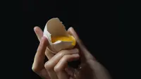 Ilustrasi kuning telur (pixabay)