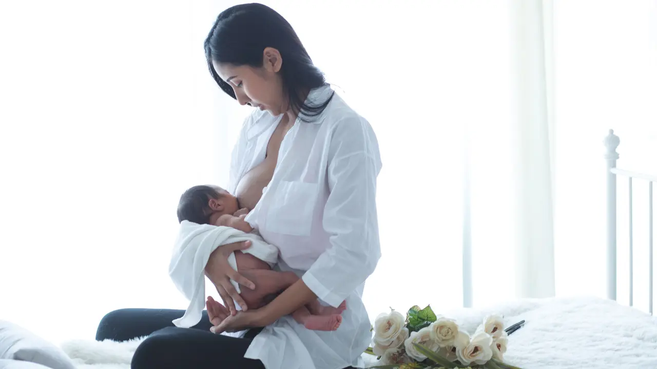 Pakar Soroti Masalah Umum yang Dihadapi Ibu Menyusui
