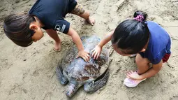 Dua anak memegang kura-kura hijau setelah dilepaskan di pantai Kuta di pulau Bali (27/3). Sekitar 18 kura-kura hijau diburu untuk diambil dagingnya dan dilepaskan kembali ke laut setelah polisi menangkap pelaku di Kabupaten Gianyar pada 13 Maret. (AFP Photo/Sonny Tumbelaka)