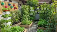 9 Cara Merawat Tanaman Sayur di Musim Hujan, Panen Tetap Optimal