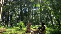 Hutan Kota Desa Duku Ulu Disiapkan Jadi Destinasi Wisata Unggulan Rejang Lebong