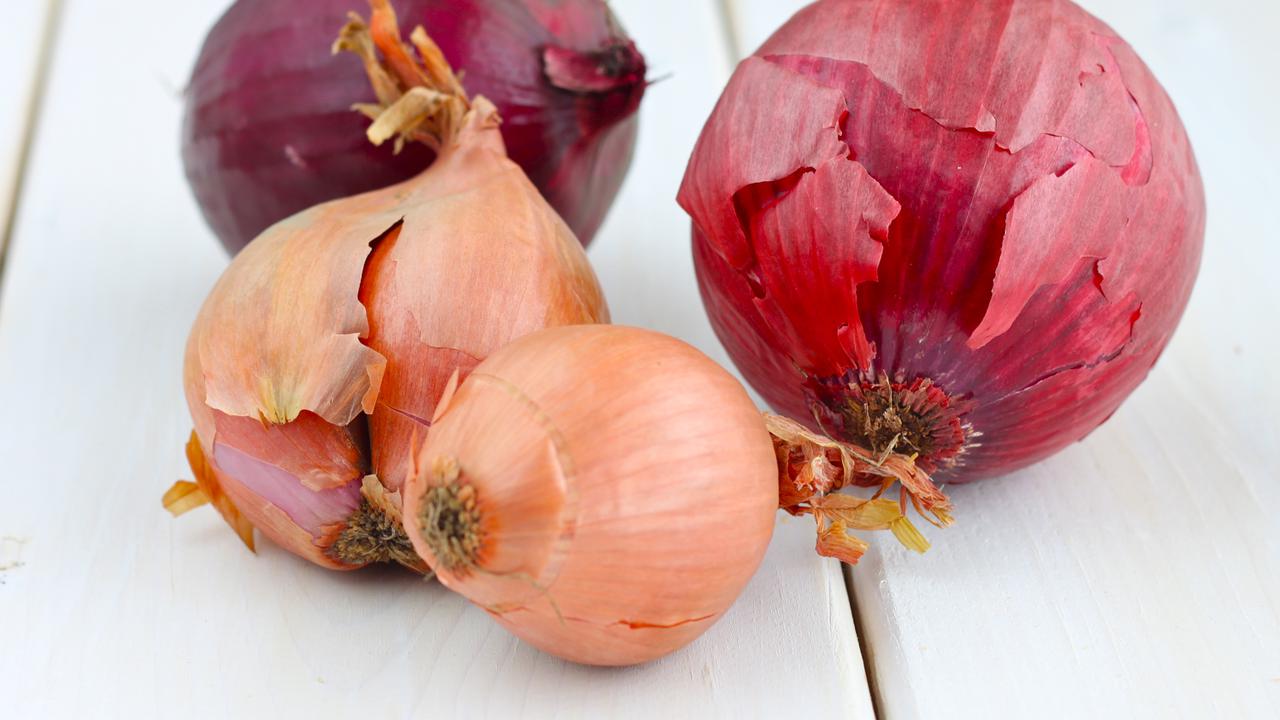 Ilustrasi bawang bombai mini.