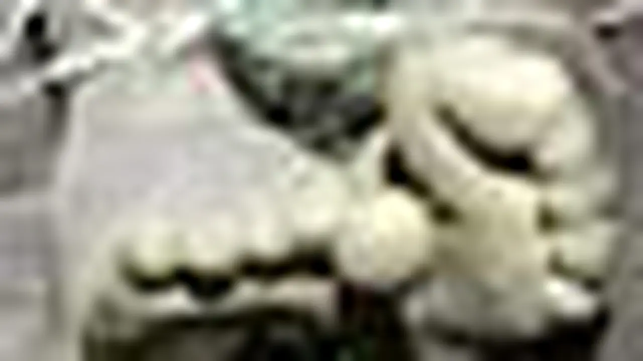 t090505aTewasPengemis.jpg