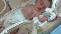 Dibuang Ibu dan Disemuti, Bayi Tampan Bertahan Hidup di Semak (Liputan6.com/M Syukur).