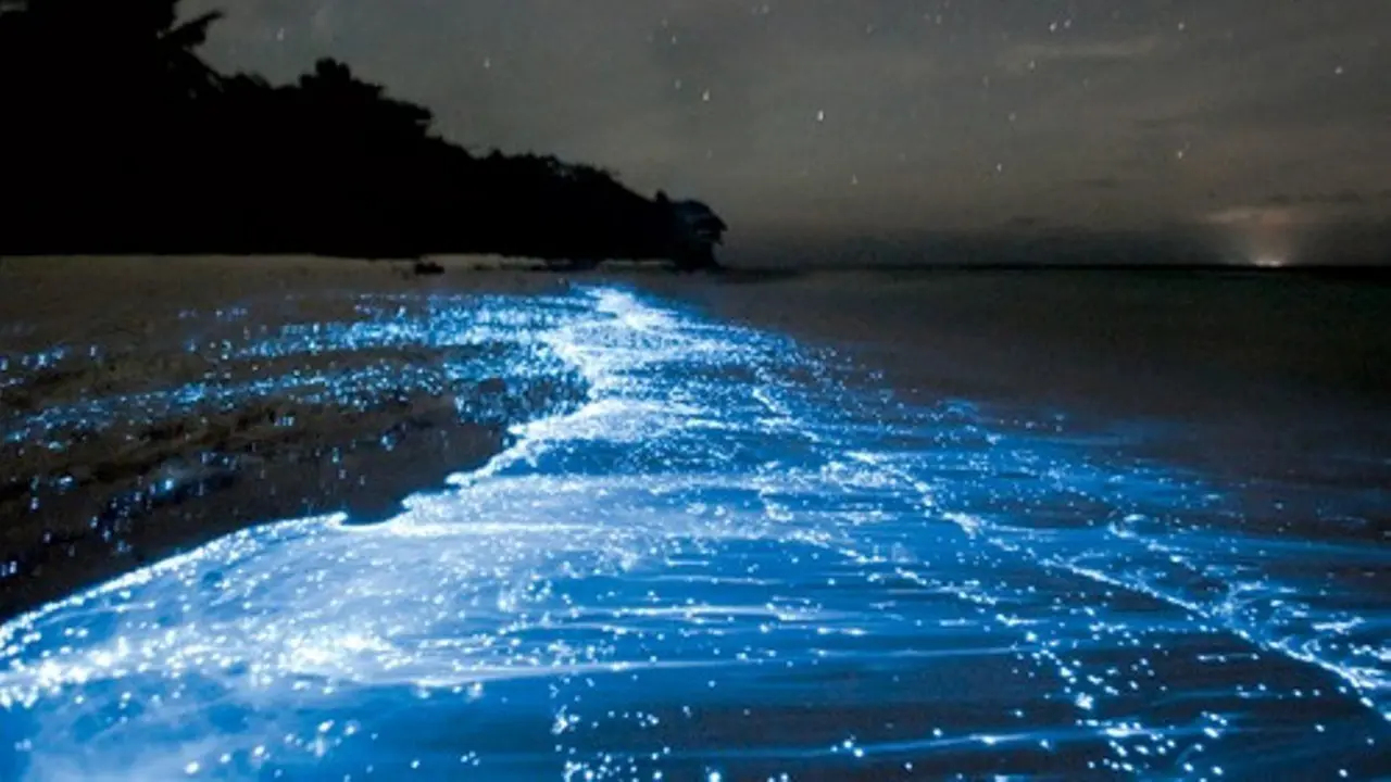 [Bintang] Maldives