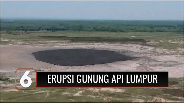 VIDEO: Kembali Terjadi, Gunung Api Lumpur Kesongo Meletus Setinggi 50 Meter