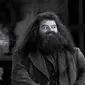 Robbie Coltrone sang pemeran Hagrid di film Harry Potter. (dok. Instagram @warnerbrosuk/https://www.instagram.com/p/CjtAGaBLgGe/?hl=en/Dinny Mutiah)