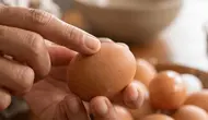 10 Cara Mengetahui Telur Masih Segar Tanpa Dipecahkan, Mudah dan Akurat