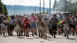 Sejumlah peserta berlari sambil membawa kedelainya saat permulaan lomba Pack Burro Race ke-69 di Fairplay, Colorado (30/7). Pack Burro Racing adalah olahraga asli negara bagian Colorado yang berakar kuat dari para penambang. (AFP Photo/Jason Connolly)