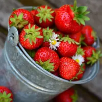 ilustrasi/copyright pixabay/congerdesign