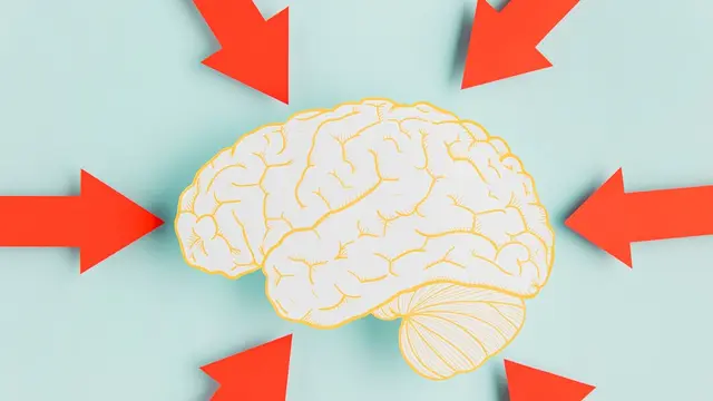 Meningkatkan kekuatan otak