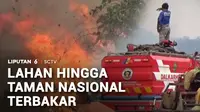Sudah sekitar empat bulan, Kalimantan dan Sumatra masih merah. Kebakaran hutan dan lahan mencapai 21 ribu hektare per pekan lalu. Menurut Badan Nasional Penanggulangan Bencana, korban berjatuhan mencari nafkah juga tak seperti dulu lagi.