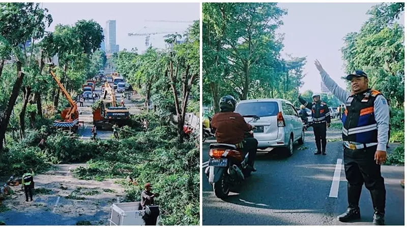 Potret Perantingan Pohon di Surabaya