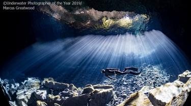 Hasil Jepretan Memukau Fotografi Bawah Air Terbaik 2019