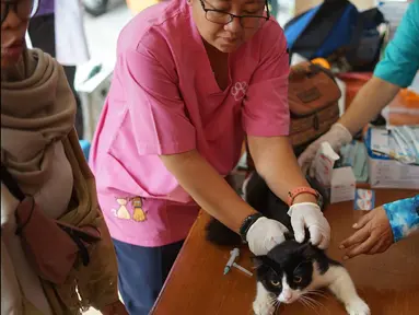 Petugas kesehatan hewan memberikan vaksin rabies pada kucing di kawasan Sawah Besar, Jakarta, Kamis (3/9/2019). Dalam rangka memperingati Hari Rabies Sedunia, Sudin Ketahanan Pangan Kelautan dan Perikanan DKI Jakarta melakukan vaksinasi hewan secara gratis. (Liputan6.com/Immanuel Antonius)