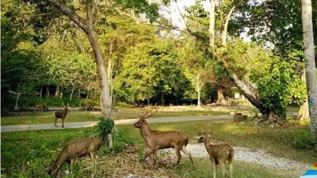 Pangandaran