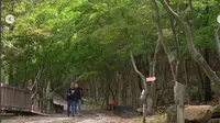 Drama Korea It’s Okay Pernah Syuting di Daegu Forest, Daegu, yang Terkena Wabah Corona. (dok.Instagram @daegu_forest/https://www.instagram.com/p/B3JZP68laFP/Henry)