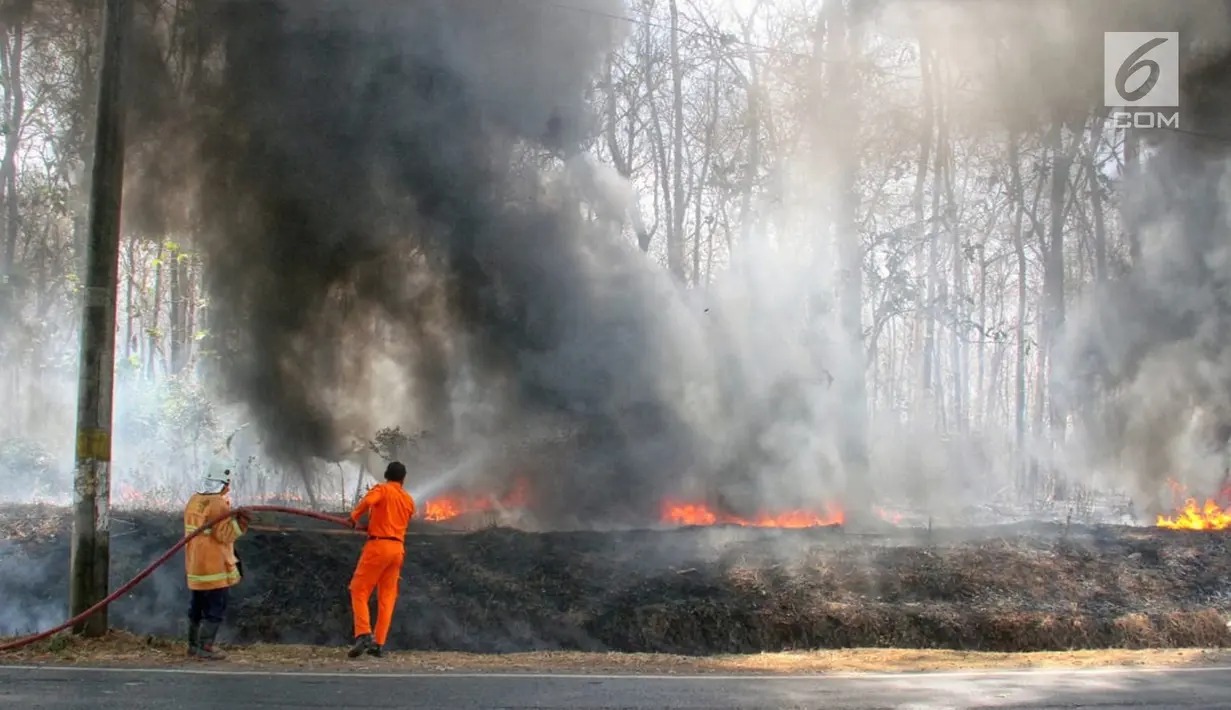 Petugas Pemadam Kebakaran menyemprotkan air saat memadamkan api yang membakar hutan jati di Kawasan Mijen Semarang, Sabtu (21/9/2019). Musim kemarau yang panjang dan kondisi yang kering mempermudah api menyebar di kawasan tersebut. (Liputan6.com/Gholib)