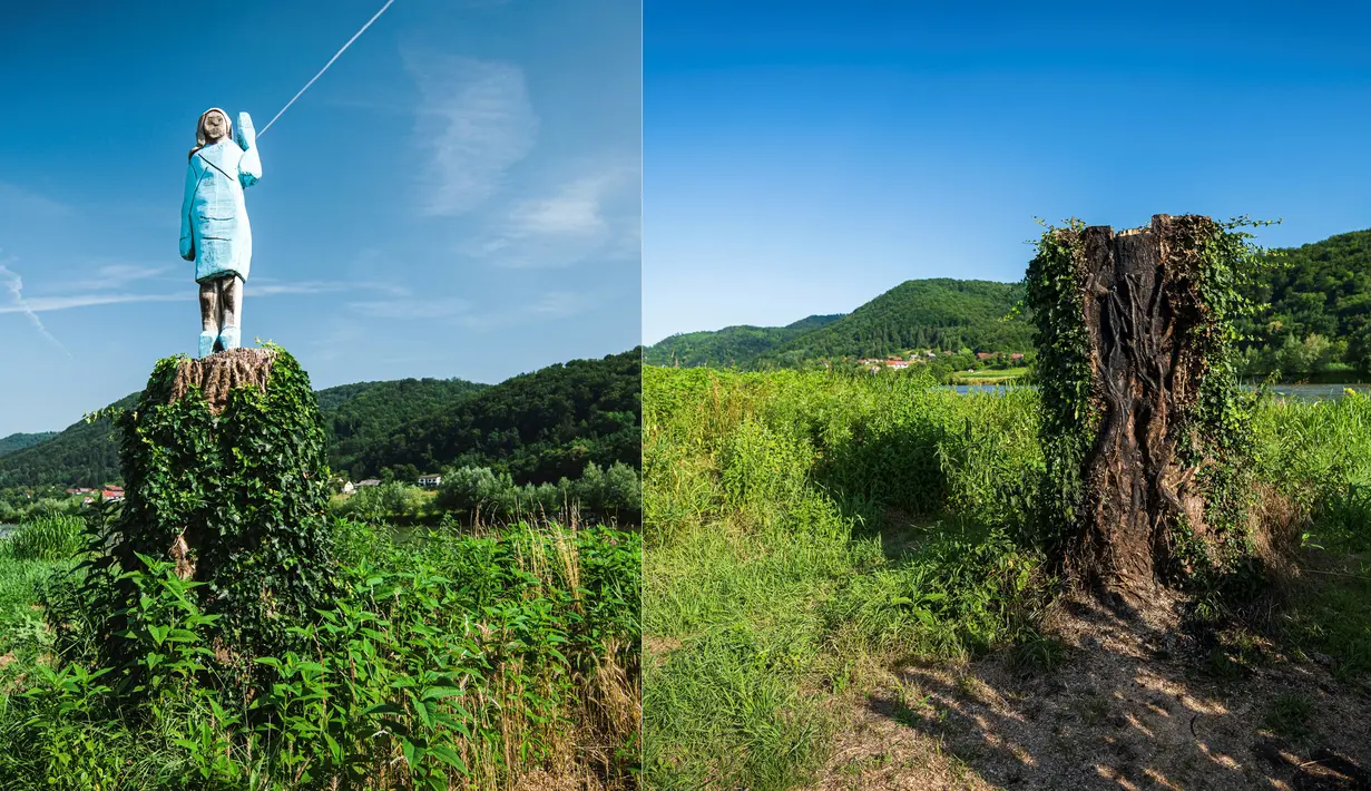 Kombinasi gambar pada 5 Juli 2019 menunjukkan (kiri) patung kayu Melania Trump dan pada 7 Juli 2020 menunjukkan (kanan) sisa-sisa batang pohon hangus yang dijadikan alas patung kayu Melania Trump sebelum dibakar oleh orang tak dikenal di lapangan dekat kota Sevnica, Slovenia. (Jure Makovec/AFP)