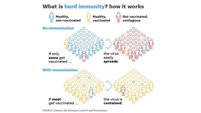 Herd Immunity Efektif Hentikan Wabah Virus Corona Bisnis Liputan6 Com
