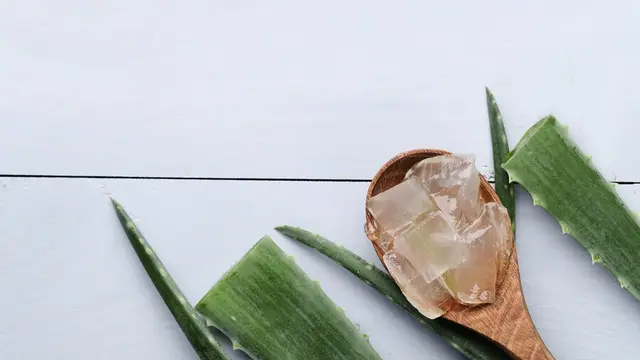 Ilustrasi Lidah Budaya/freepik.com/Racool_studio