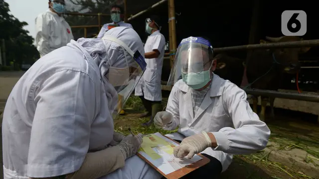 Pemeriksaan Kesehatan Hewan Kurban di Tengah Pandemi