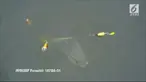 Seekor ikan paus Humpback terjerat tali pancing yang menarik ikan paus ini ke dasar laut dan membuatnya kesulitan bernapas.