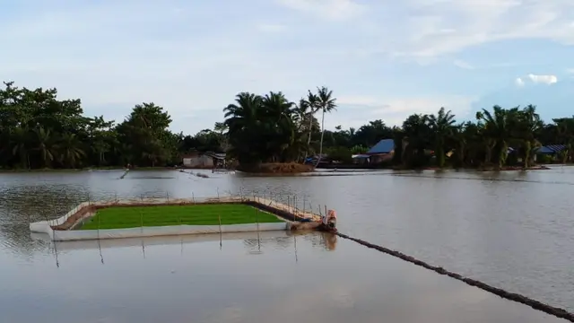 Kementan RI
