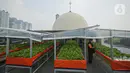 Petugas merawat tanaman hidroponik yang ditanam di kawasan atap Masjid Jami Attaqwa, Sunter Muara, Jakarta Utara, Rabu (14/4/2021). Tanaman hidroponik berupa pakcoy, sawi dan selada itu ditempatkan pada bagian tengah atap dengan pelindung bagian atasnya. (Liputan6.com/Faizal Fanani)