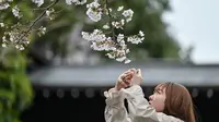 Festival Bunga Sakura di Kaki Gunung Fuji Dibatalkan Gara-gara Overtourism, Simak Opsi Alternatifnya