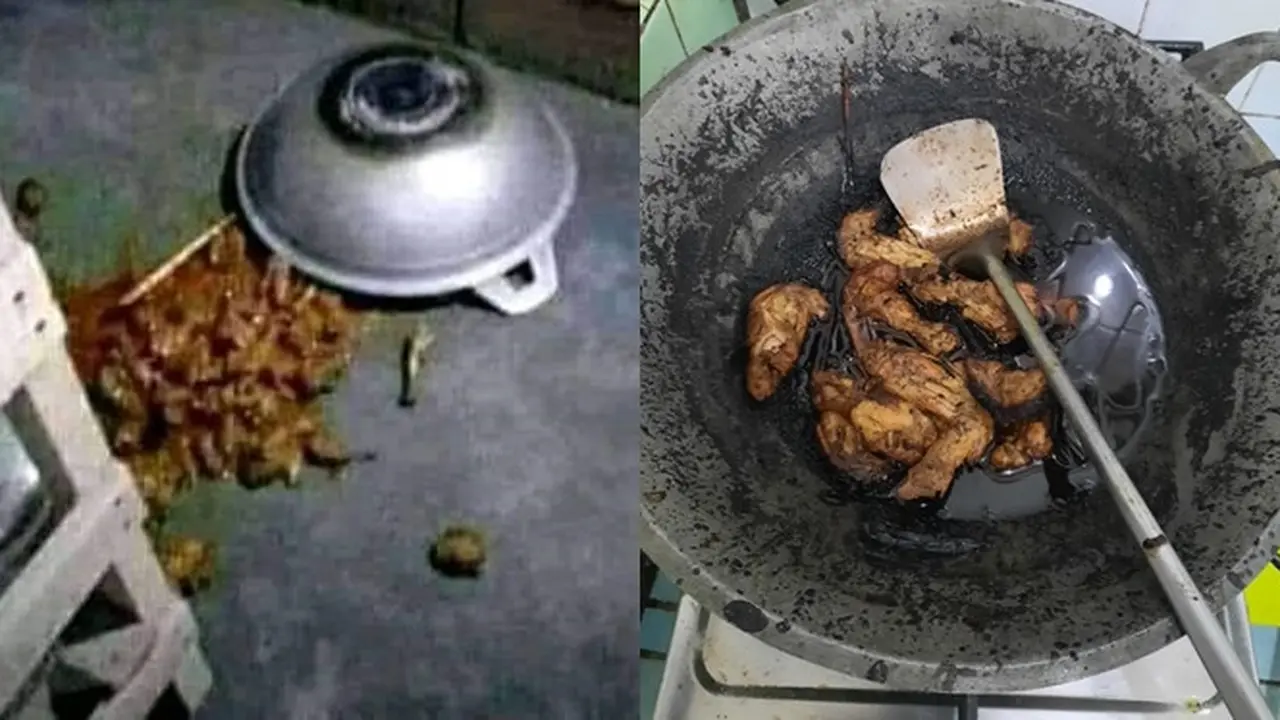 6 Momen Apes Makan Opor Ayam saat Lebaran Ini Bikin Elus Dada