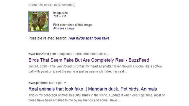 Gambar Tangkapan Layar Penelusuran Foto dengan Google Reverse Image
