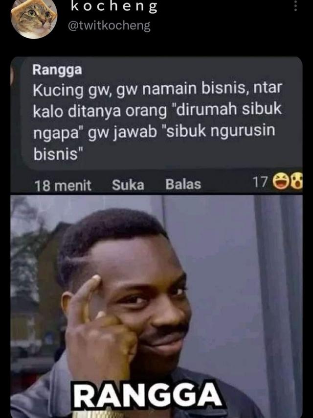 6 Nama Panggilan Kucing Ini Tak Biasa, Kocak Banget