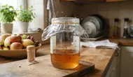 Cara Membuat Perangkap Serangga Sederhana dari Barang Bekas, Mudah Dibuat di Rumah