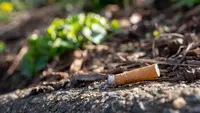 Buang Puntung Rokok Sembarangan, WNI Dipenjara di Malaysia