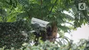 CCTV terlihat di rumah dinas Kadiv Propam Polri Irjen Ferdy Sambo di Kompleks Polri Duren Tiga, Pancoran, Jakarta Selatan , Rabu (13/7/2022). Brigadir J tewas dalam baku tembak dengan sesama anggota polisi berinisial Bharada E pada Jumat (8/7/2022) sekitar pukul 17.00 WIB. (Liputan6.com/Faizal Fanani)
