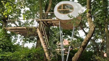 Rumah Pohon Desain Minimalis Modern Bikin Anda Pingin Tinggal