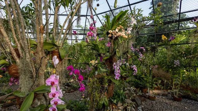 Magic Garden Jadi Destinasi Wisata Alam Buatan Baru di Bali, Ada Kebun Kupu-kupu hingga Galeri Botani Langka