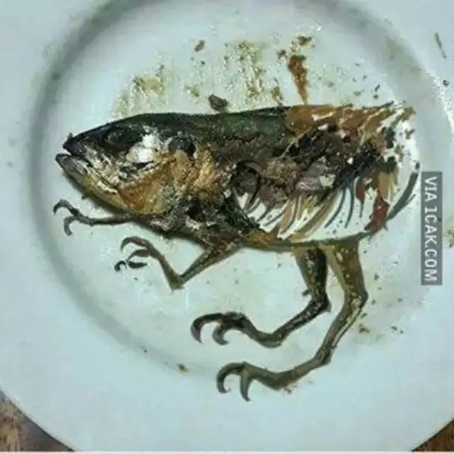 6 Potret Ikan Nyeleneh Setelah Digoreng,