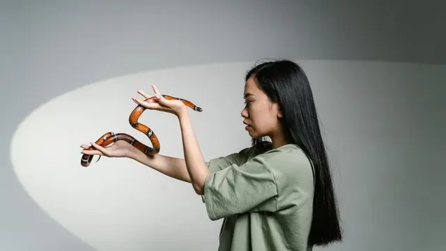 Arti Mimpi Bertemu Ular Besar yang Tidak Terduga