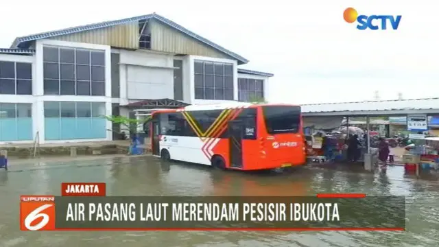 Banjir Rob Kembali Genangi Kawasan Muara Angke