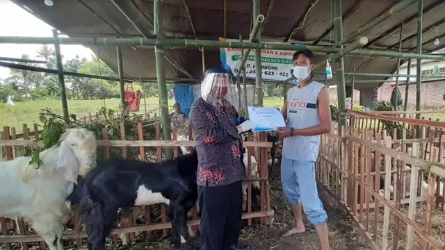Sertifikasi penjual kurban di banyuwangi