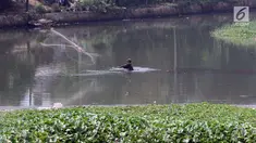 Warga beraktivitas di Situ Pengarengan Kota Depok, Jawa Barat, Kamis (18/4). Tumpukan sampah dan tanaman eceng gondok terlihat menumpuk menutupi permukan air Situ Pengarengan. (Liputan6.com/Helmi Fithriansyah)